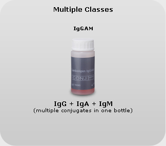 multisingleclass 1