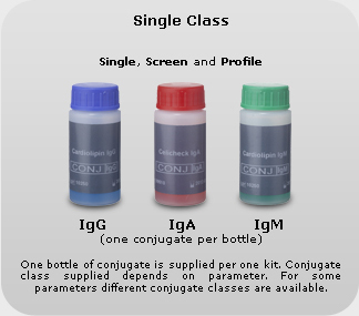 multisingleclass 2